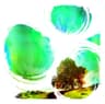 Sunrise Projector / Past Is Prologue
