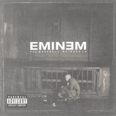 The Marshall Mathers LP 2