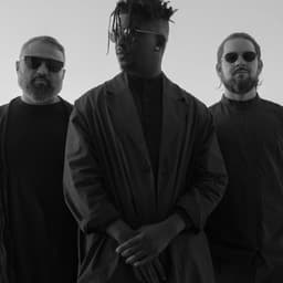 Animals as Leaders