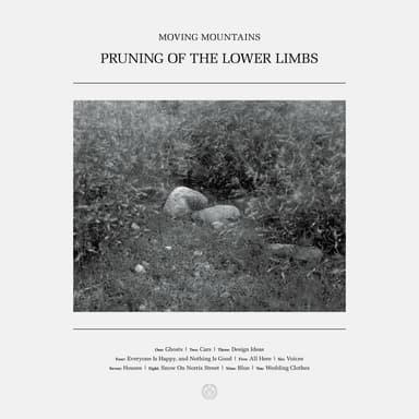 Pruning of the Lower Limbs