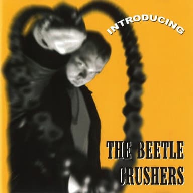 Introducing… The Beatles