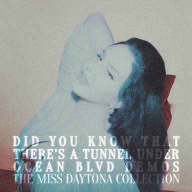 Did you know that there's a tunnel under Ocean Blvd Demos